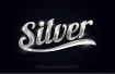 Thesilvergallerry