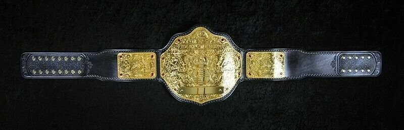 WWE Big Gold World Heavyweight Wrestling Championship Replica Belt WCW ...