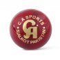 CA League Special Red Hard Leather Ball Pack of 12