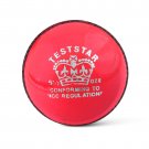 CA Test Star Pink Hard Leather Ball Pack of 12