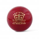 CA Test Star Red Hard Leather Ball Pack of 6