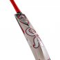 CA PLUS 15000 PLAYERS EDITION ENGLISH WILLOW CRICKET BAT