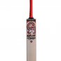CA PLUS 15000 PLAYERS EDITION ENGLISH WILLOW CRICKET BAT