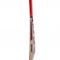 CA PLUS 15000 PLAYERS EDITION ENGLISH WILLOW CRICKET BAT