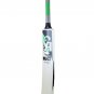 CA BEAST PLUS CLASSIC WILLOW SOFTBALL BAT TENNIS BALL BAT