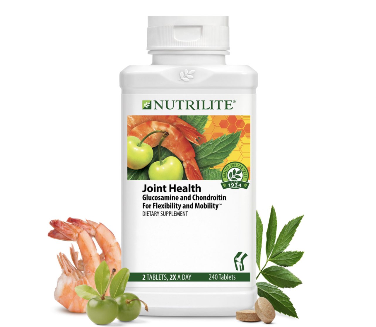 download slay the day nutrilite
