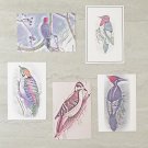 Woodpecker Bird Lover Stationery Postcards 5 Piece Set