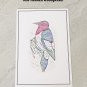 Woodpecker Bird Lover Stationery Postcards 5 Piece Set