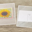 Bright Yellow Sunflower Postcard Set of 5