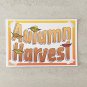 Autumn Harvest Stationery Postcards 5 Piece Set