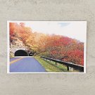 Country Road Fall Foliage Postcard