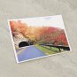 Country Road Fall Foliage Stationery Postcards 5 Piece Set