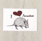 I Love Armadillos Postcard