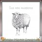 Ewe Are Awesome Sheep Fridge Magnet Handmade