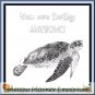 You Are "Turtley" Awesome Sea Turtle Fridge Magnet Handmade