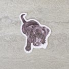 Labrador Puppy Black and White Waterproof Die Cut Sticker