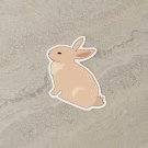 Spring Woodland Bunny Rabbit Waterproof Die Cut Sticker