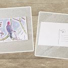 Red Bellied Woodpecker Stationery Postcards 5 Piece Set