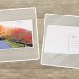 Country Road Fall Foliage Stationery Postcards 5 Piece Set