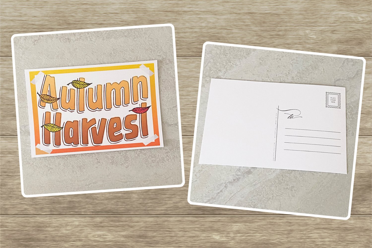 Autumn Harvest Stationery Postcards 5 Piece Set