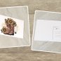 Sunflowers and Cowgirl Boots Stationery Postcards 5 Piece Set