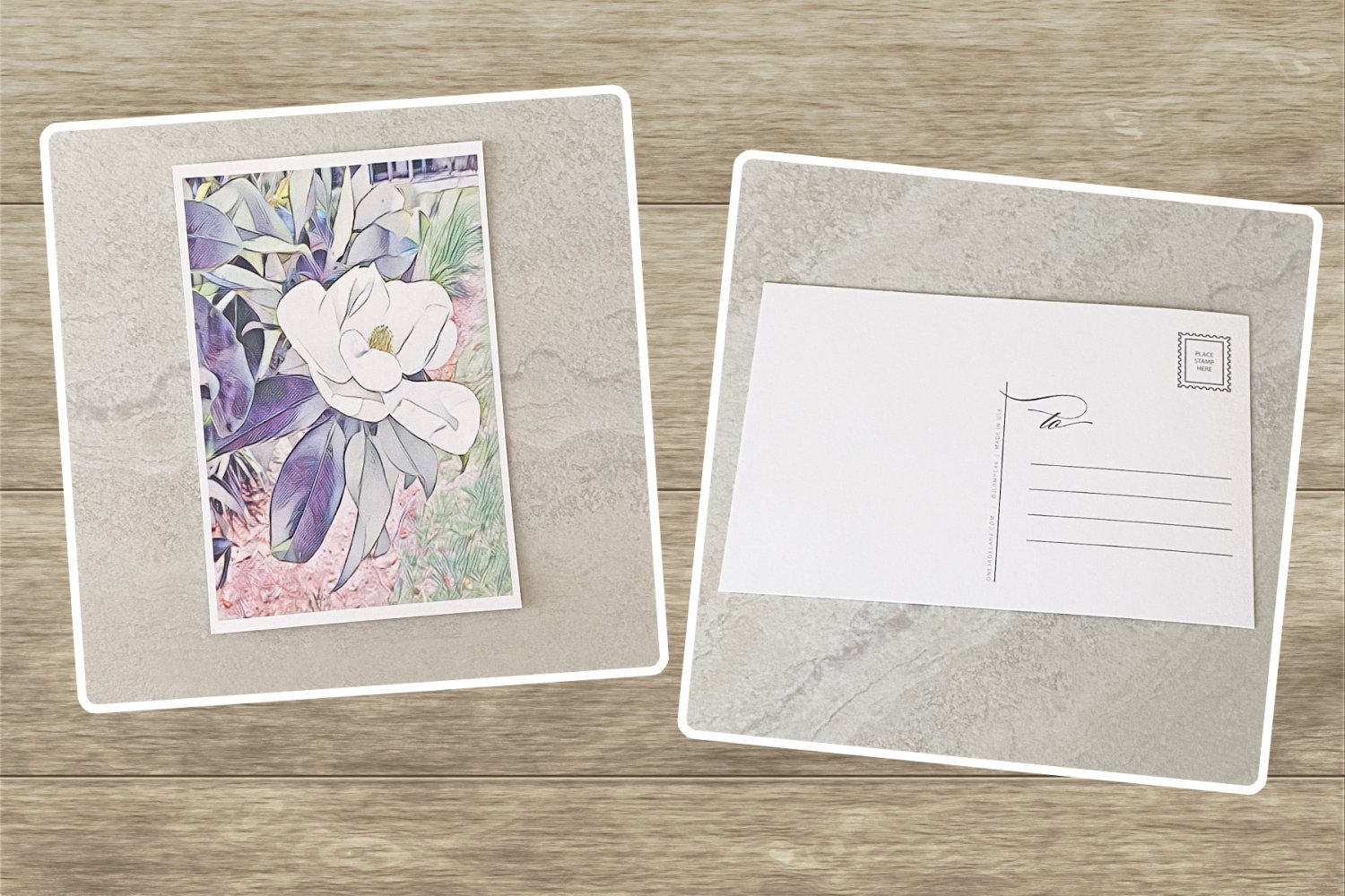 White Magnolia Flower Stationery Postcards 6 Piece Set