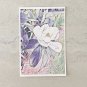 White Magnolia Flower Stationery Postcards 6 Piece Set