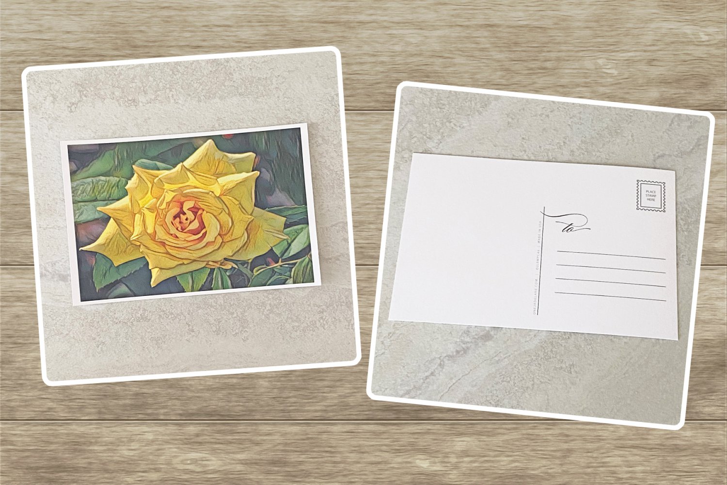 Yellow Rose Flower Stationery Postcards 6 Piece Set