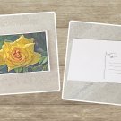 Yellow Rose Flower Stationery Postcards 5 Piece Set