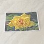 Yellow Rose Flower Stationery Postcards 6 Piece Set