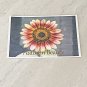 Autumn Beauty Sunflower Stationery Postcards 5 Piece Set