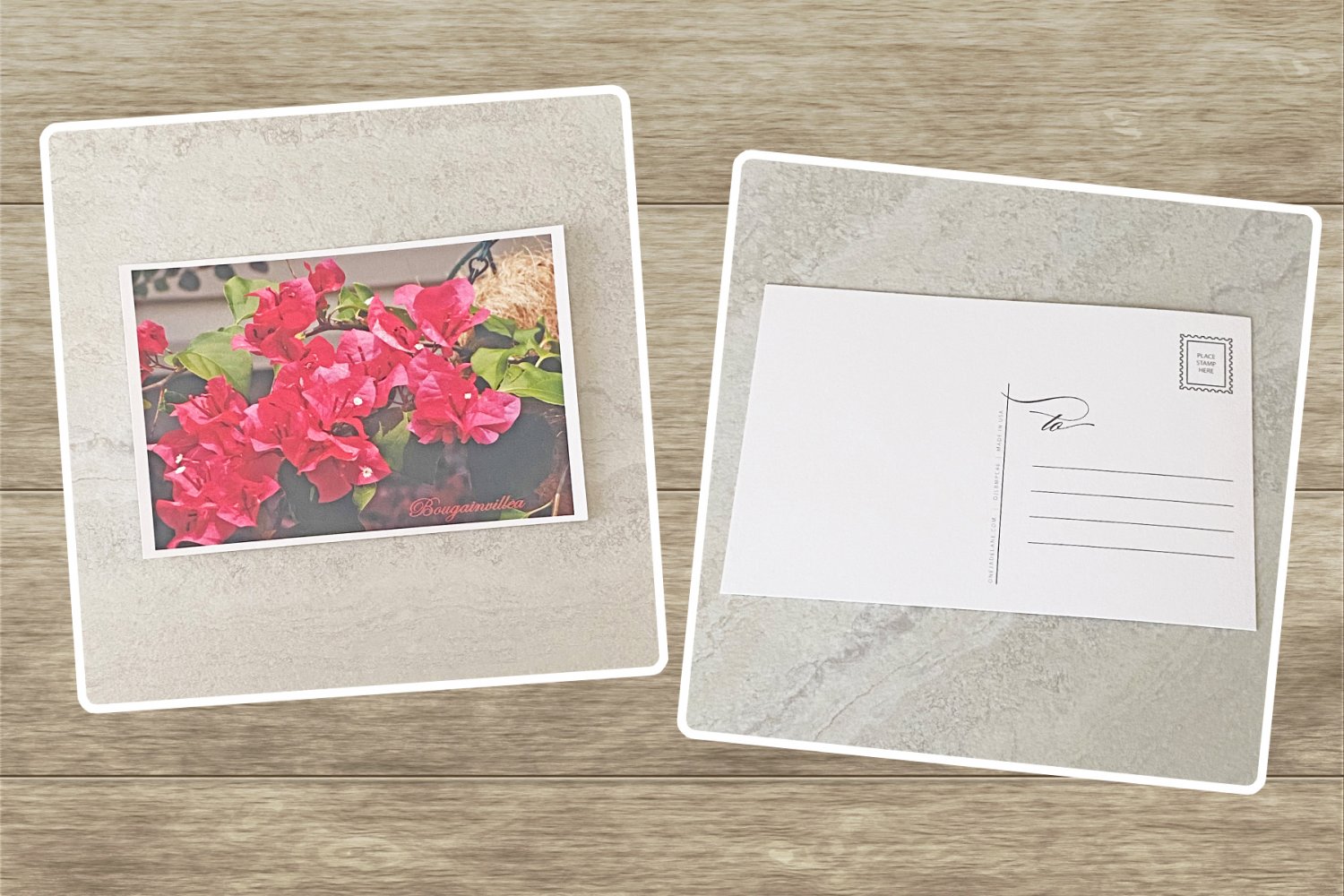 Pink Bougainvillea Flower Stationery Postcards 5 Piece Set