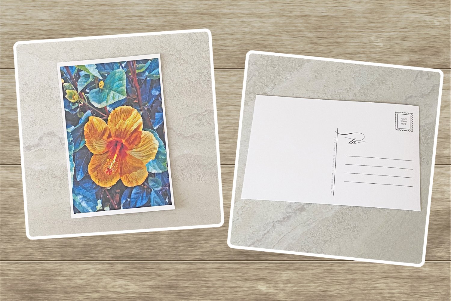 Orange Hibiscus Flower Stationery Postcards 5 Piece Set