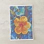 Orange Hibiscus Flower Stationery Postcards 5 Piece Set