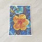 Orange Hibiscus Flower Stationery Postcards 5 Piece Set