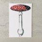 Botanical Mushroom Fungi Postcards Stationery Postcards 8 Piece Set
