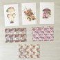 Botanical Mushroom Fungi Postcards Stationery Postcards 6 Piece Set