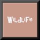 Animal Wildlife Theme Gifts