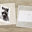 Raccoon Face Stationery Postcards 6 Piece Set