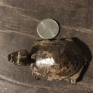 Heavy Hand Carved Jade Turtle Pendant Heavy Hand Carved Jade Turtle Pendant