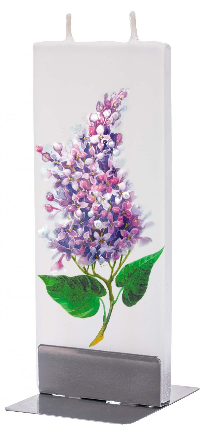 Purple Lilac