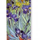 Van Gogh - Irises