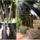 Home & Garden