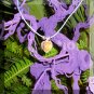 Crystal Prism Heart Mood Pendant Necklace Blue Adjustable Choker Color Vivid Changing Chart