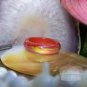 Red Agate Mood Ring Band Size 9 Color Changing Genuine Gemstone Jewelry Gift Box