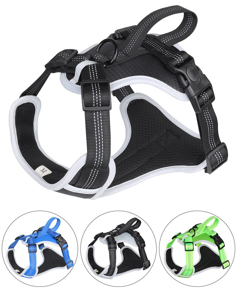 Pet Harness Leash Set Training Walking Leads Summer Breathable for Big Dogs