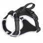 Pet Harness Leash Set Training Walking Leads Summer Breathable for Big Dogs