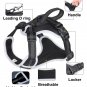 Pet Harness Leash Set Training Walking Leads Summer Breathable for Big Dogs