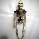 40cm / 15.7" Hanging Halloween Skull Skeleton Bones Poseable Human Full Life Size Prop