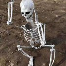 70cm / 27.6" Hanging Halloween Skull Skeleton Bones Poseable Human Full Life Size Prop Party